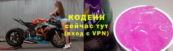 стаф Магас