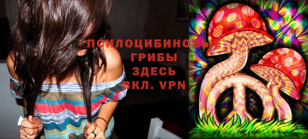 соль ск Медногорск