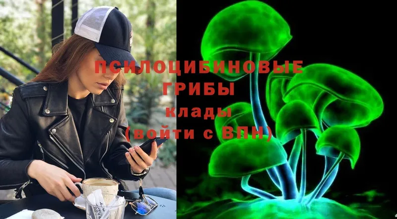 где купить наркоту  Шелехов  Псилоцибиновые грибы Cubensis 