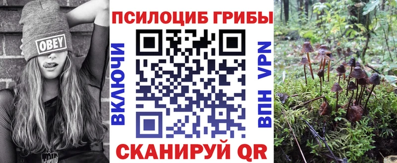Галлюциногенные грибы Magic Shrooms  Шелехов 